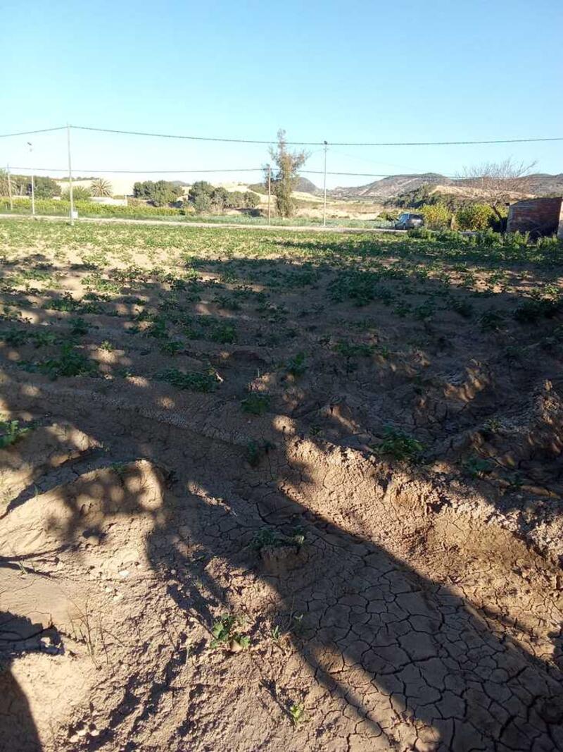 1 bedroom Country House for sale