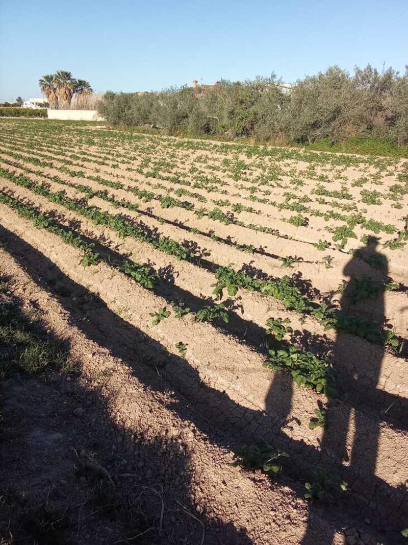 1 bedroom Country House for sale