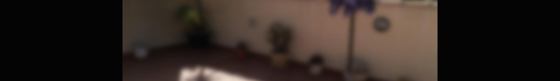 2 Schlafzimmer Appartement zu verkaufen