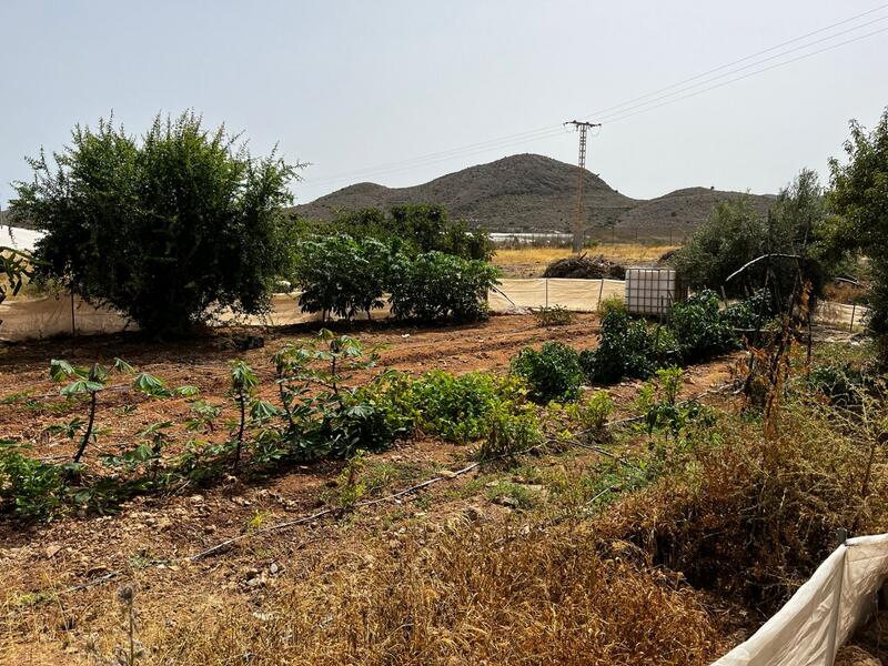 6 Cuarto Casa de Campo en venta 6 Cuarto Casa de Campo en venta