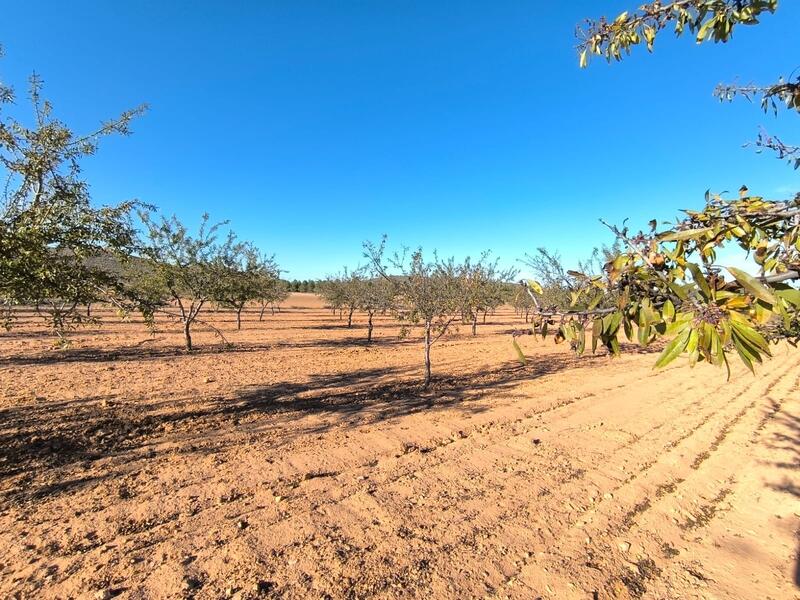 Country House for sale Country House for sale