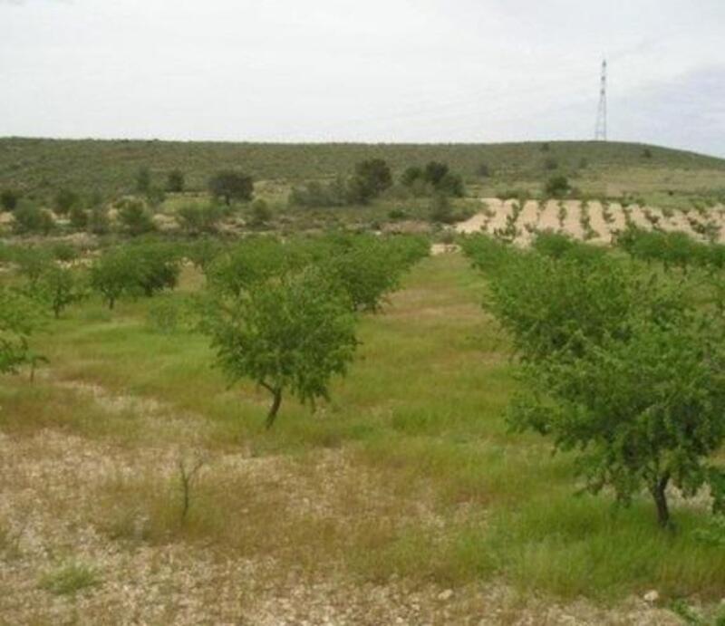 Lantställe till salu