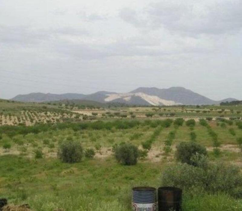 Lantställe till salu