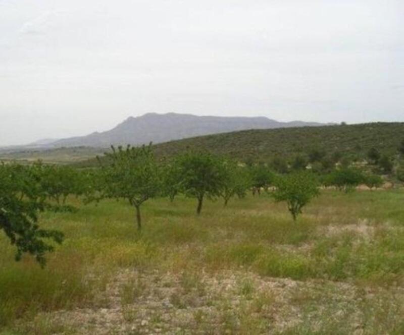 Lantställe till salu