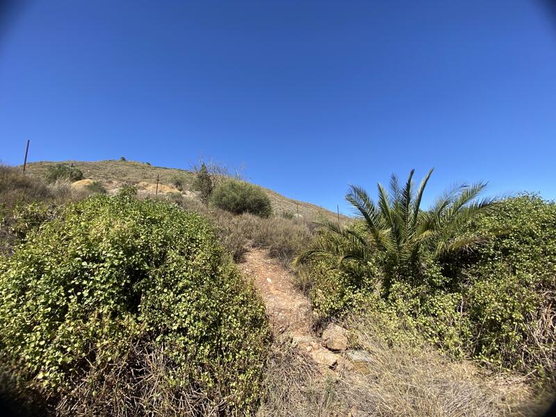 5 Cuarto Casa de Campo en venta 5 Cuarto Casa de Campo en venta