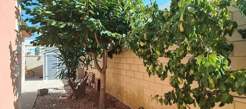 3 chambre Villa à vendre 3 chambre Villa à vendre