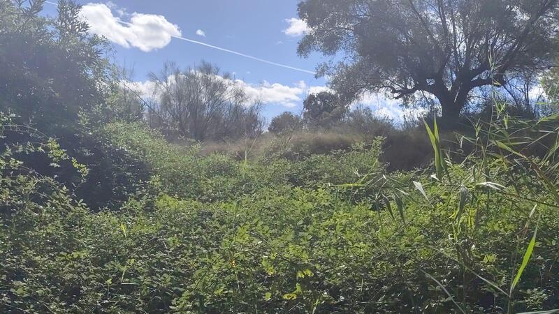 Lantställe till salu i Moratalla, Murcia Lantställe till salu i Moratalla, Murcia