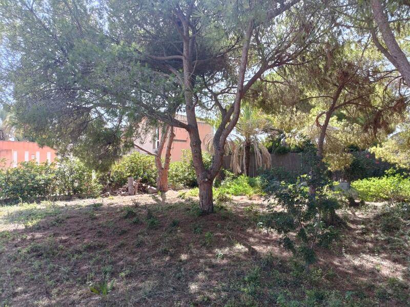 Casa de Campo en venta