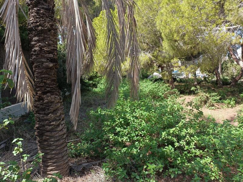 Casa de Campo en venta