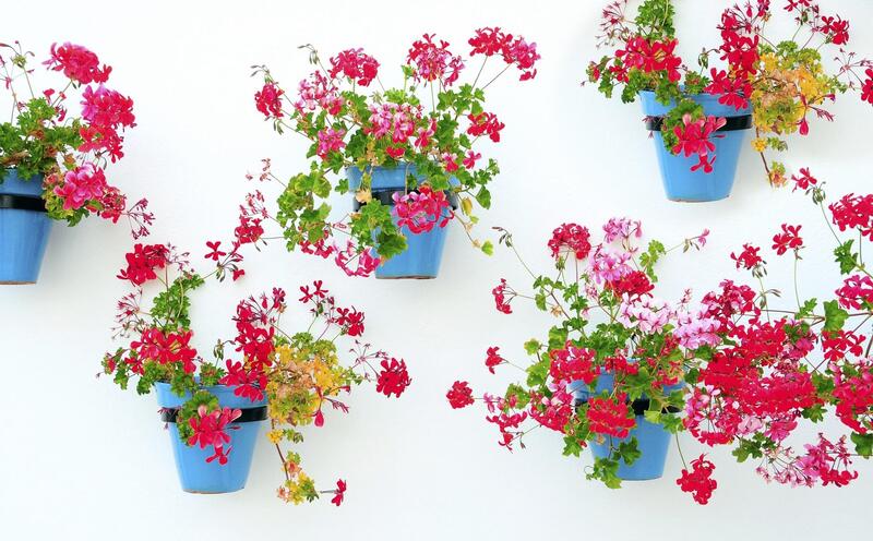 1 chambre Appartement à vendre