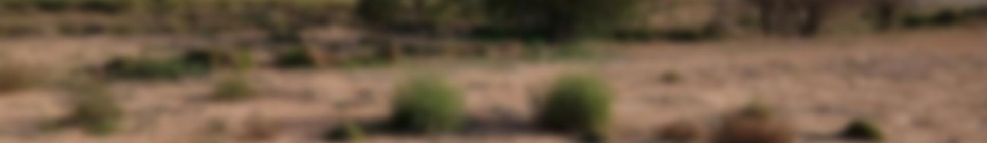 Деревенский Дом продается