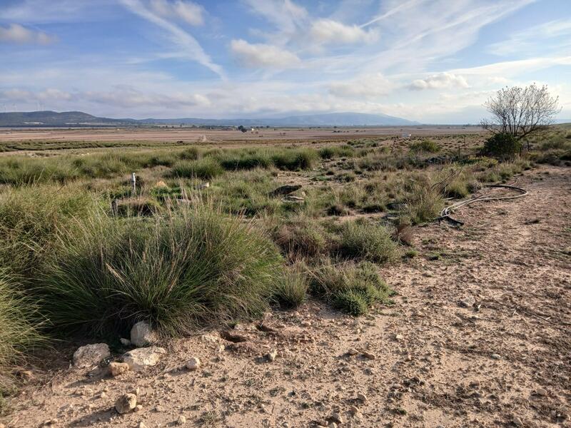 Деревенский Дом продается Деревенский Дом продается