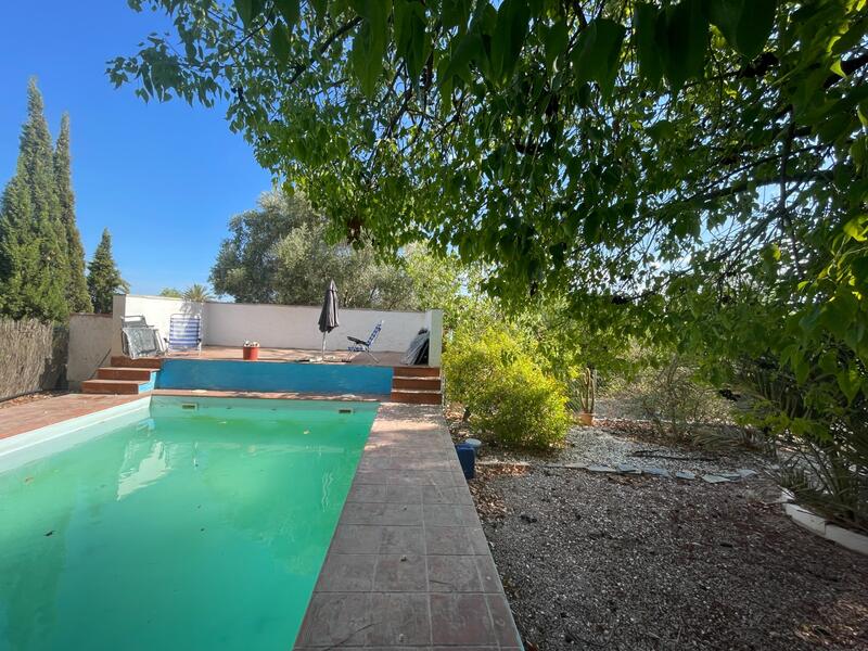 3 Cuarto Casa de Campo en venta 3 Cuarto Casa de Campo en venta