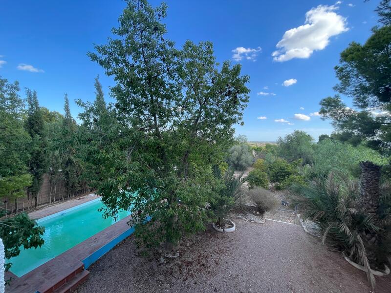 3 Cuarto Casa de Campo en venta 3 Cuarto Casa de Campo en venta