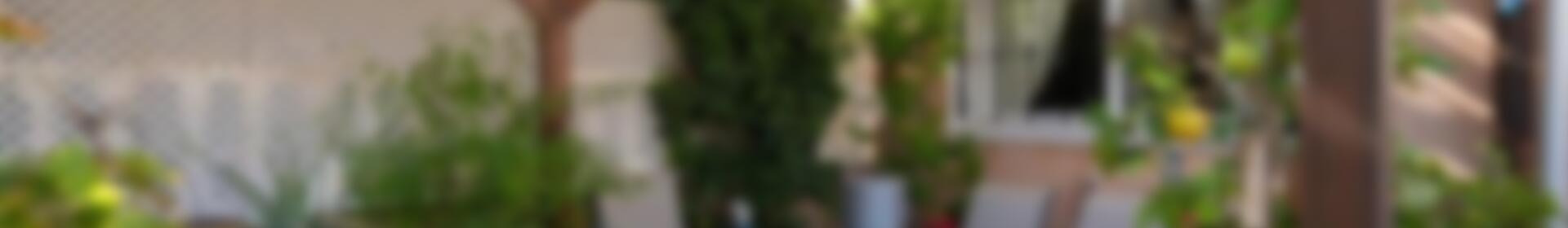 2 soverom Rekkehus til salgs