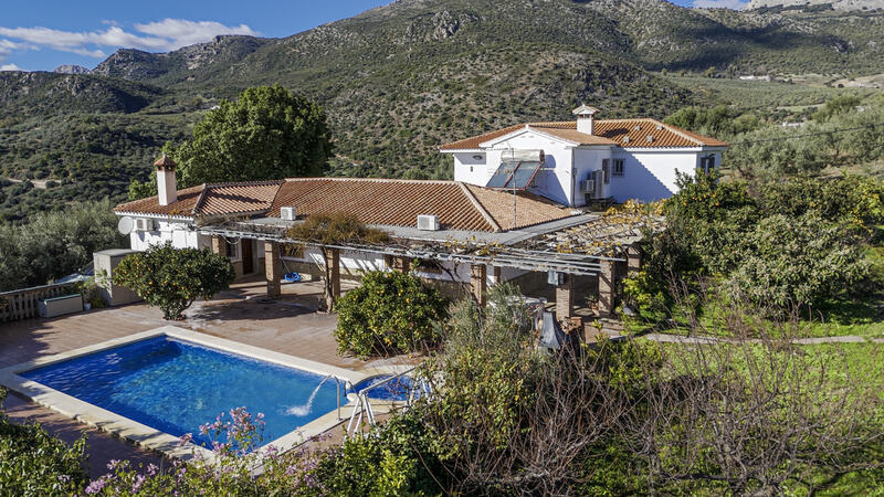 Villa en venta en Periana, Málaga