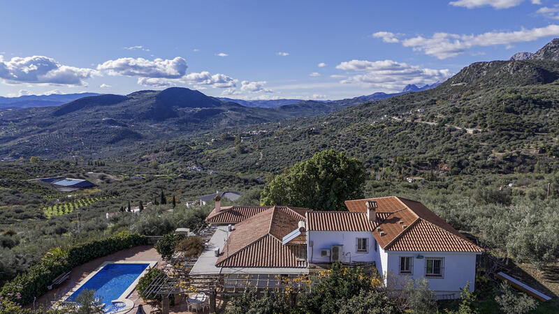 6 Cuarto Villa en venta