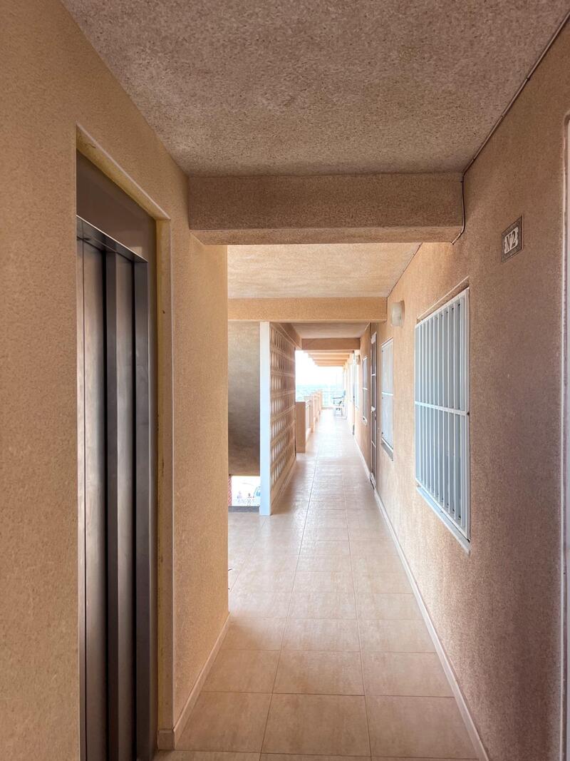 3 chambre Appartement à vendre