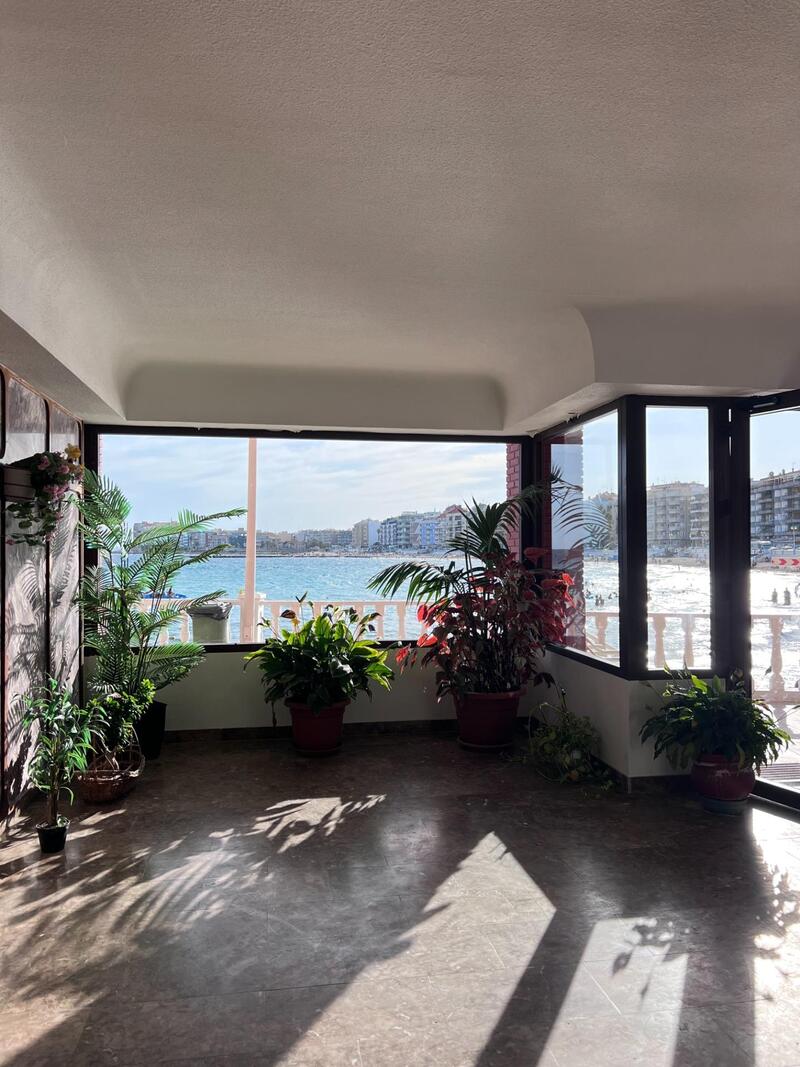 3 chambre Appartement à vendre