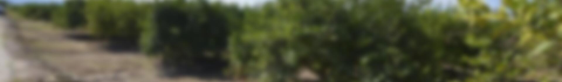 Country House for sale