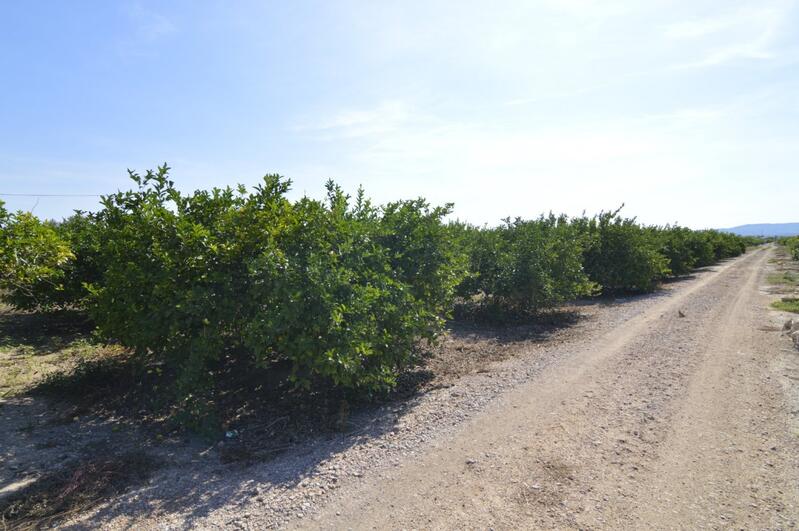 Country House for sale