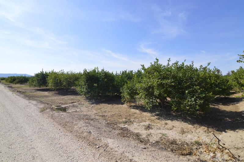 Country House for sale