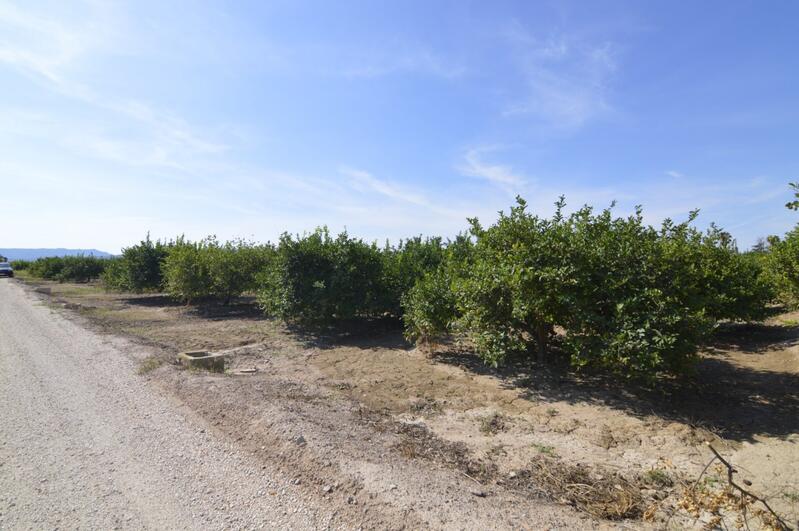 Country House for sale