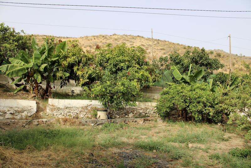 4 Cuarto Villa en venta