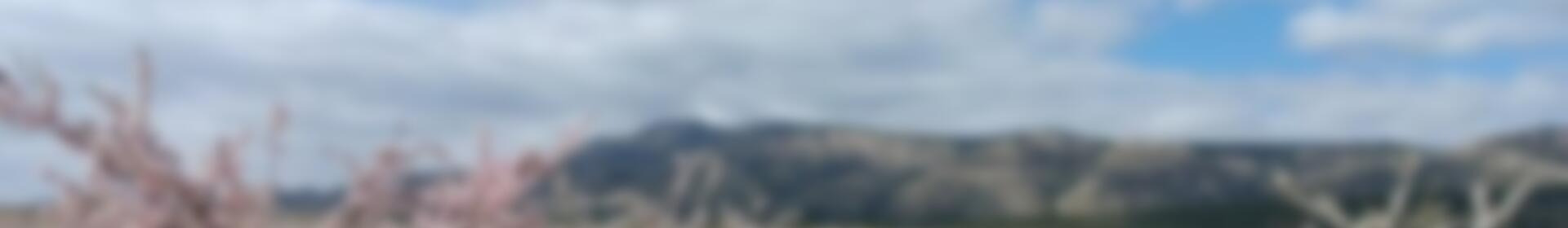 Country House for sale