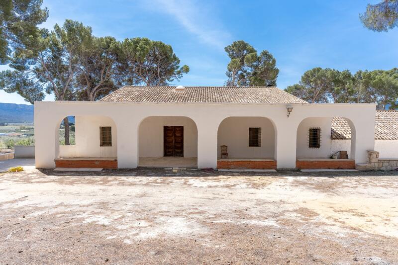 12 Cuarto Otro en venta