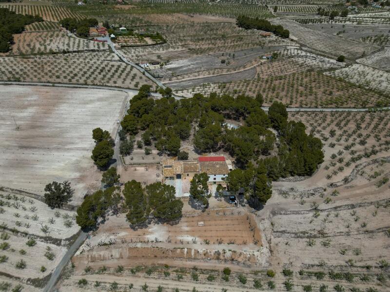 12 Cuarto Otro en venta