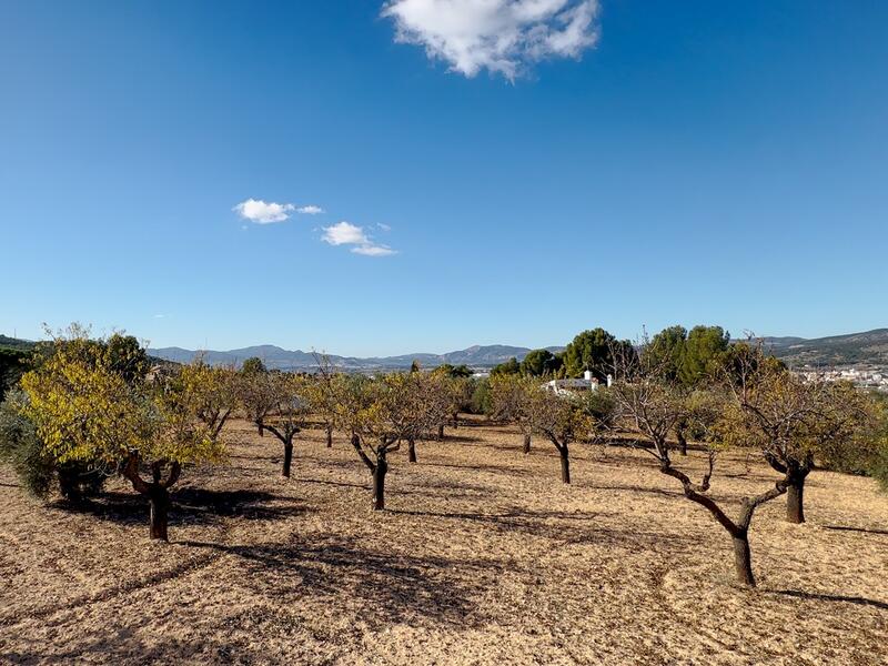 1 soveværelse Landsted til salg