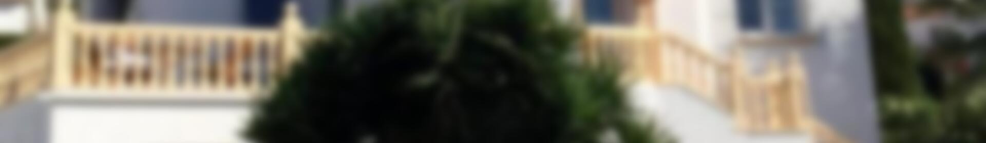 5 soverom Villa til salgs