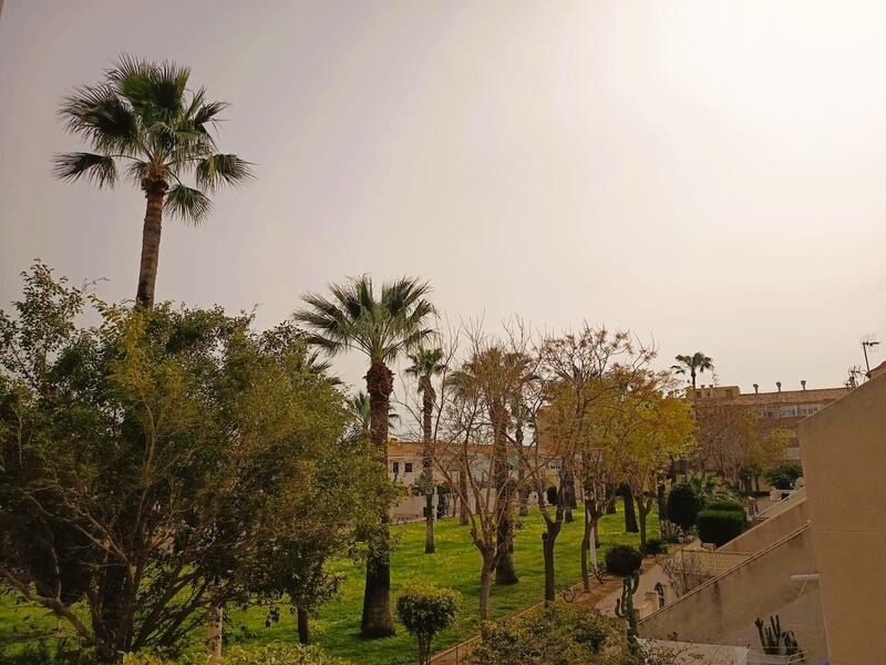 1 soverom Leilighet til salgs