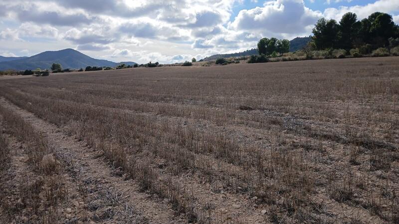 Country House for sale