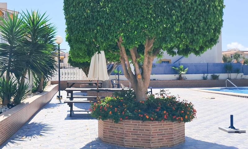 2 soveværelse Lejlighed til salg