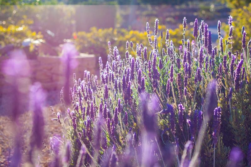 8 sovrum Lantställe till salu