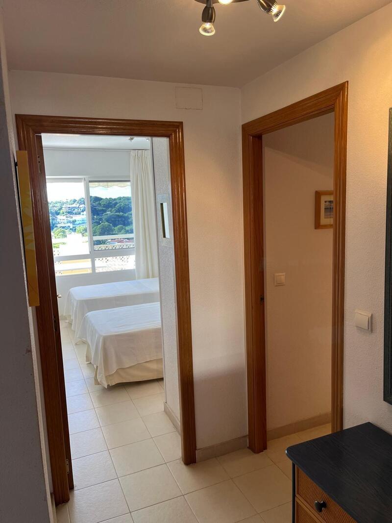 3 chambre Appartement à vendre