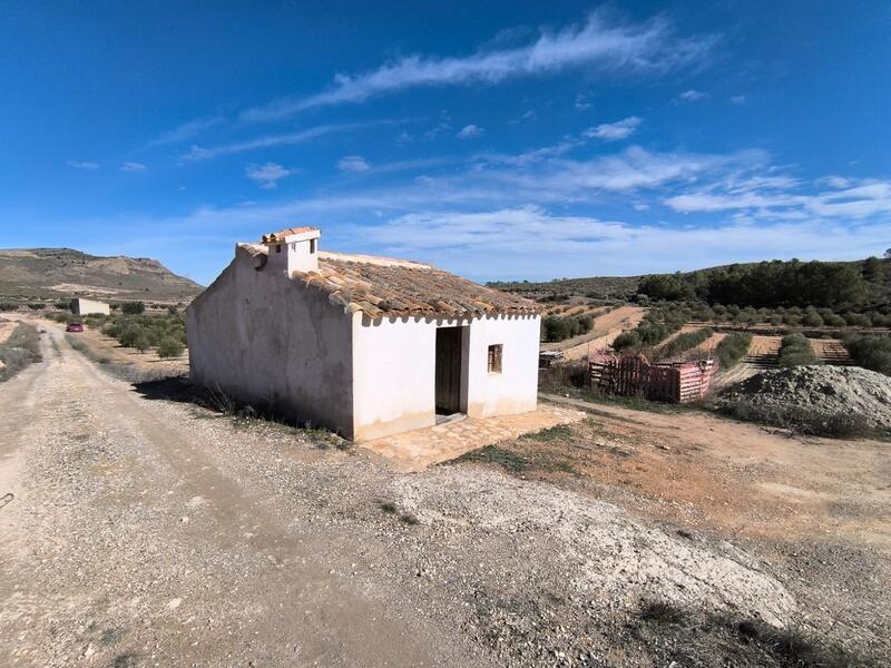 Country House for sale in Jumilla, Murcia
