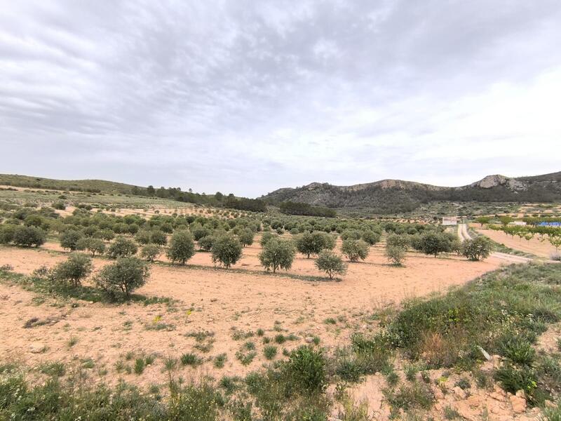 2 bedroom Country House for sale