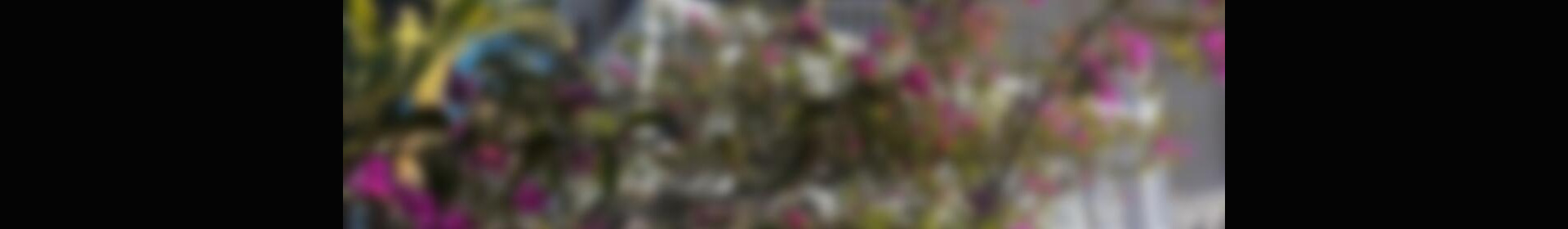 7 bedroom Villa for sale