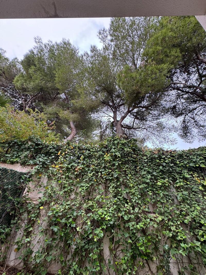 3 спальная комната городская тюрьма продается