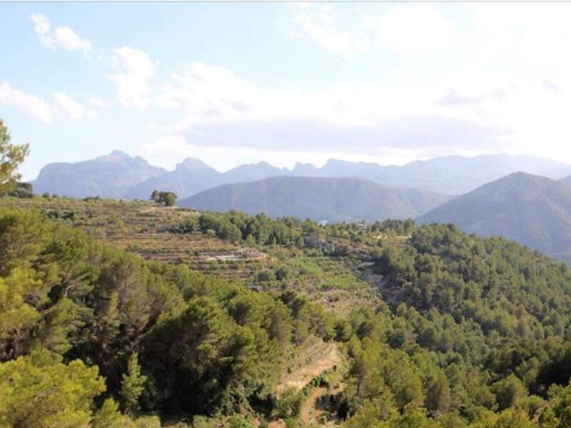 3 soverom Herregård til salgs