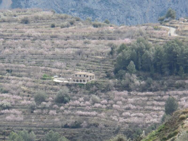 3 soverom Herregård til salgs