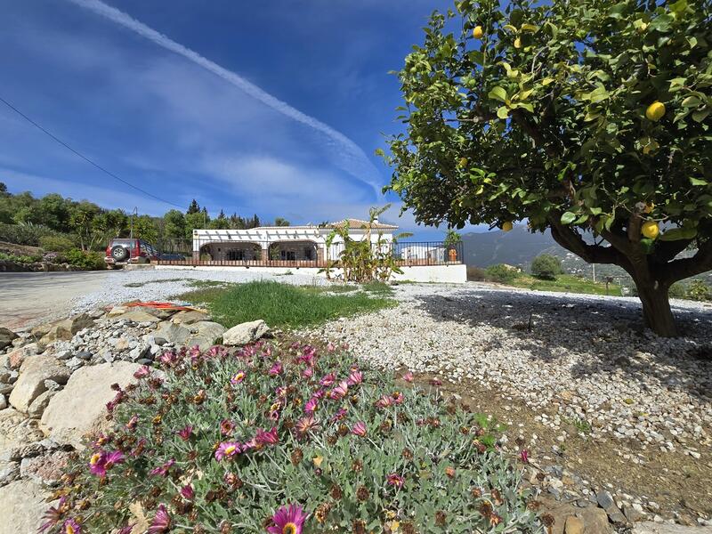 3 Cuarto Villa en venta