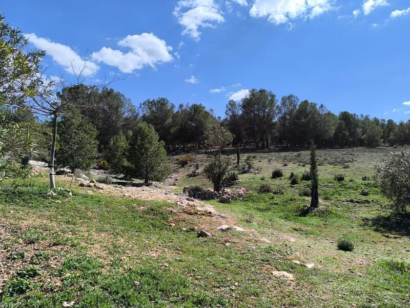 4 bedroom Country House for sale