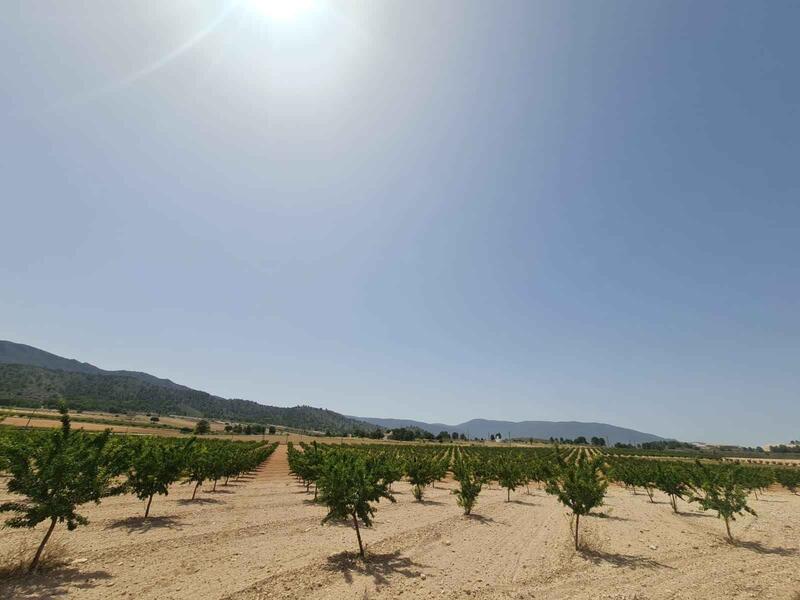 Country House for sale