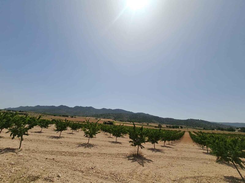 Country House for sale