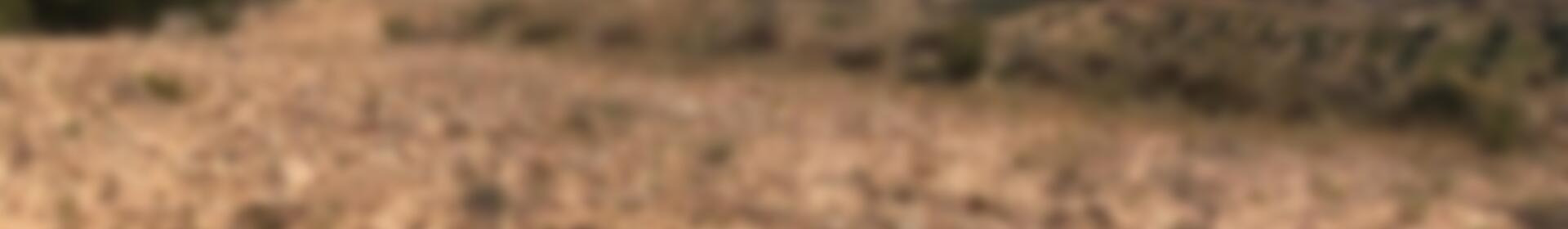 Landhaus zu verkaufen