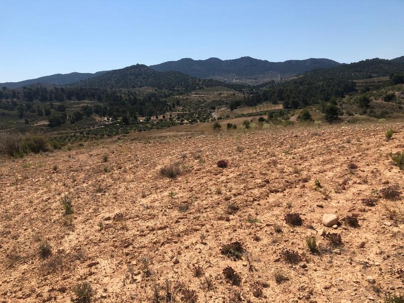 Landhaus zu verkaufen
